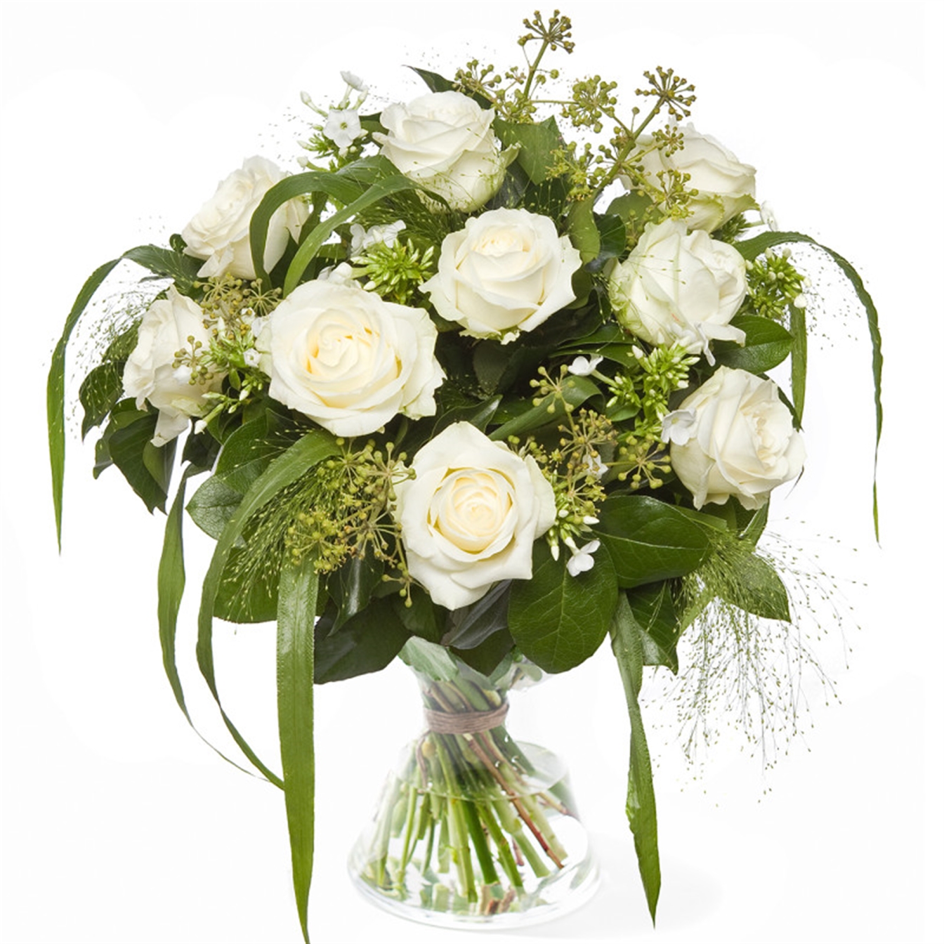 Lieflijk witte roos